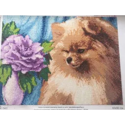 Diamond Painting Kit Pomeranijos špicas 40х30 cm AZ-1461
