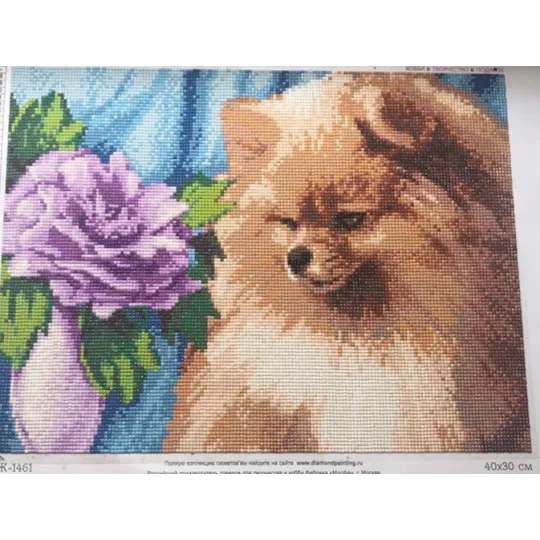 Diamond Painting Kit Pomeranian 40х30 cm AZ-1461