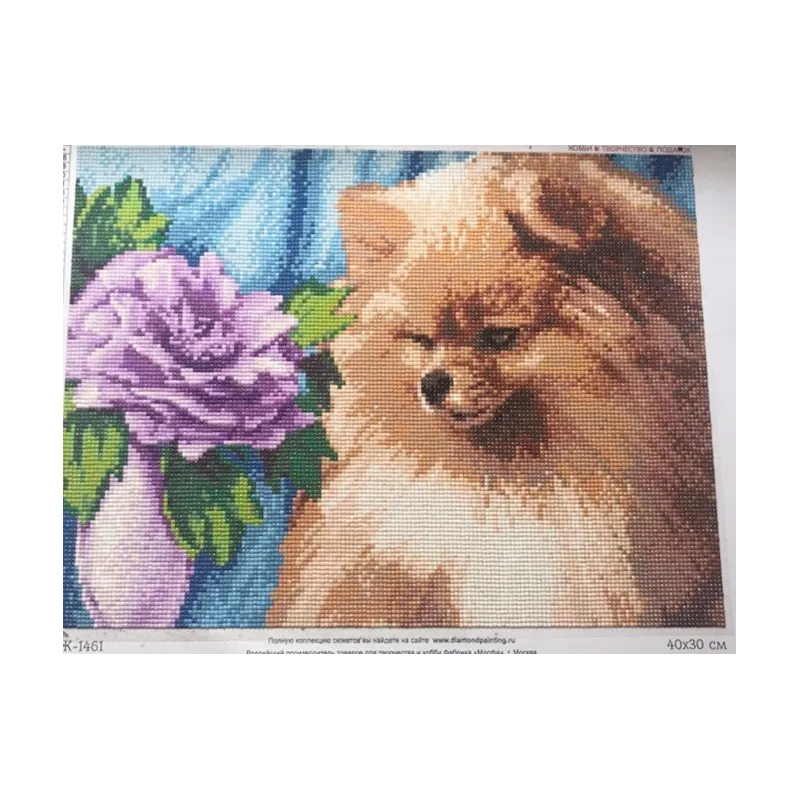 Diamond Painting Kit Pomeranian 40х30 cm AZ-1461