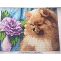 Diamond Painting Kit Pomeranian 40x30 cm AZ-1461