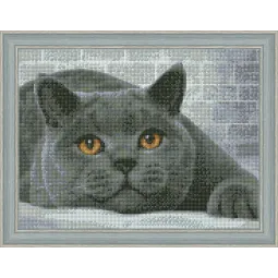 Kit de peinture diamant Chat britannique 40х30 cm AZ-1463