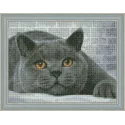 Deimantinio dažymo rinkinys Britų katė 40х30 cm AZ-1463