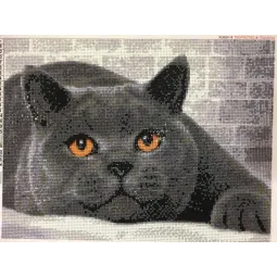 Deimantų tapybos rinkinys British Cat 40х30 cm AZ-1463