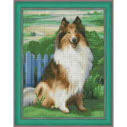Deimantinis paveikslėlis Collie 30x40 cm AZ-1464