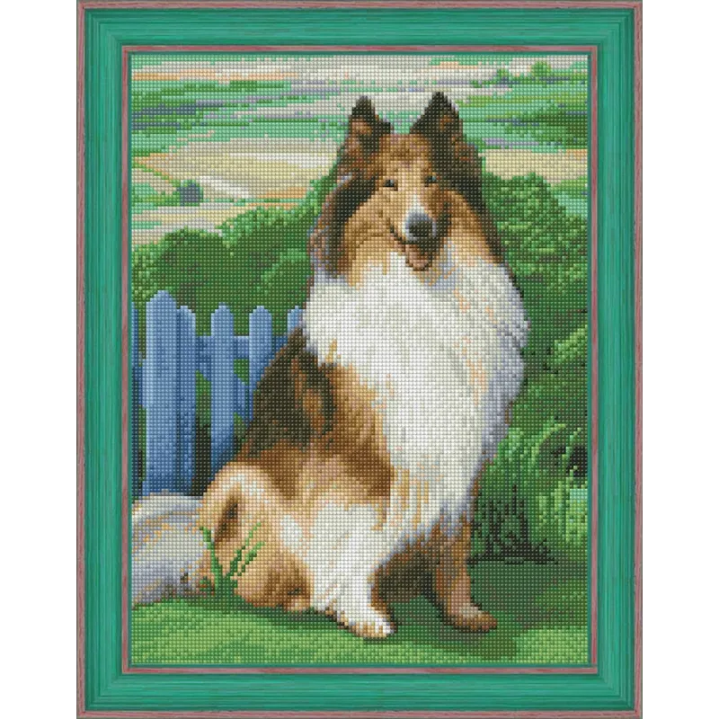 Diamond Painting Kit Collie 30x40 cm AZ-1464