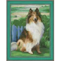 Diamond Painting Kit Collie 30x40 cm AZ-1464