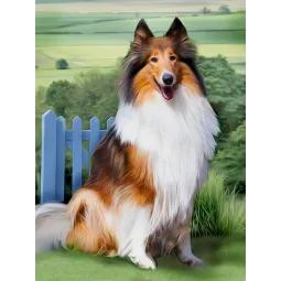 Deimantinis paveikslėlis Collie 30x40 cm AZ-1464