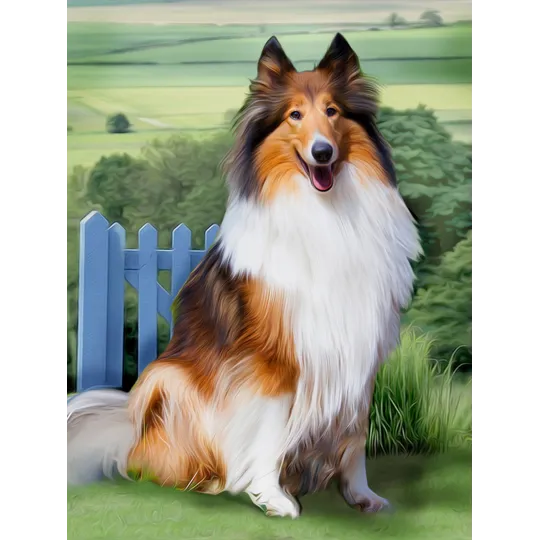 Diamond Painting Kit Collie 30x40 cm AZ-1464