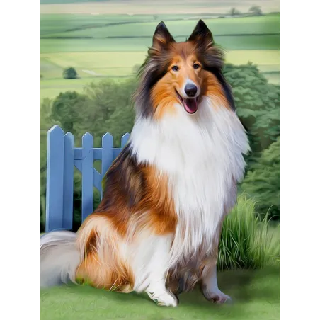 Diamond Painting Kit Collie 30x40 cm AZ-1464