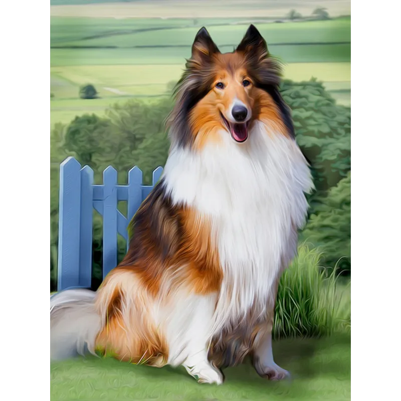 Diamond Painting Kit Collie 30x40 cm AZ-1464