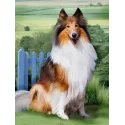 Diamond Painting Kit Collie 30x40 cm AZ-1464