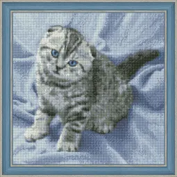 Diamond Painting Kit Kitten  40х40 cm AZ-1465