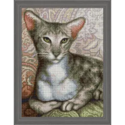 (Nebegaminamas) Oriental Shorthair 30x40 cm AZ-1728