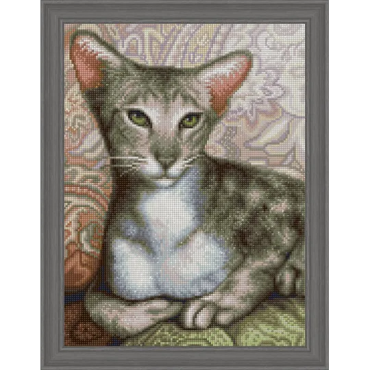 (Discontinué) Oriental Shorthair 30x40 cm AZ-1728