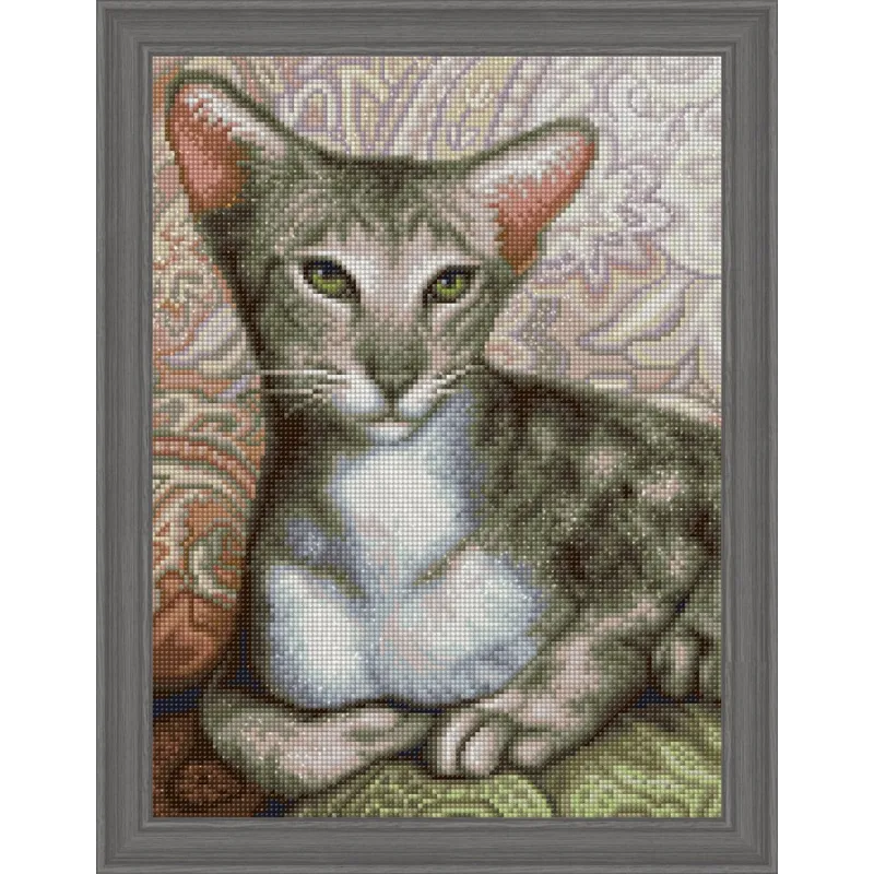 (Discontinué) Oriental Shorthair 30x40 cm AZ-1728