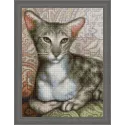 (Discontinué) Oriental Shorthair 30x40 cm AZ-1728