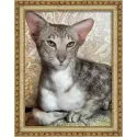 (Discontinué) Oriental Shorthair 30x40 cm AZ-1728