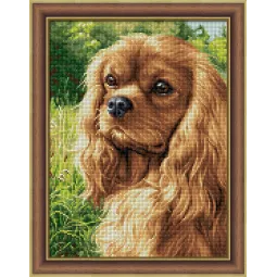 Spanielis 30x40 cm AZ-1792