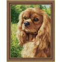 Spaniel 30x40 cm AZ-1792