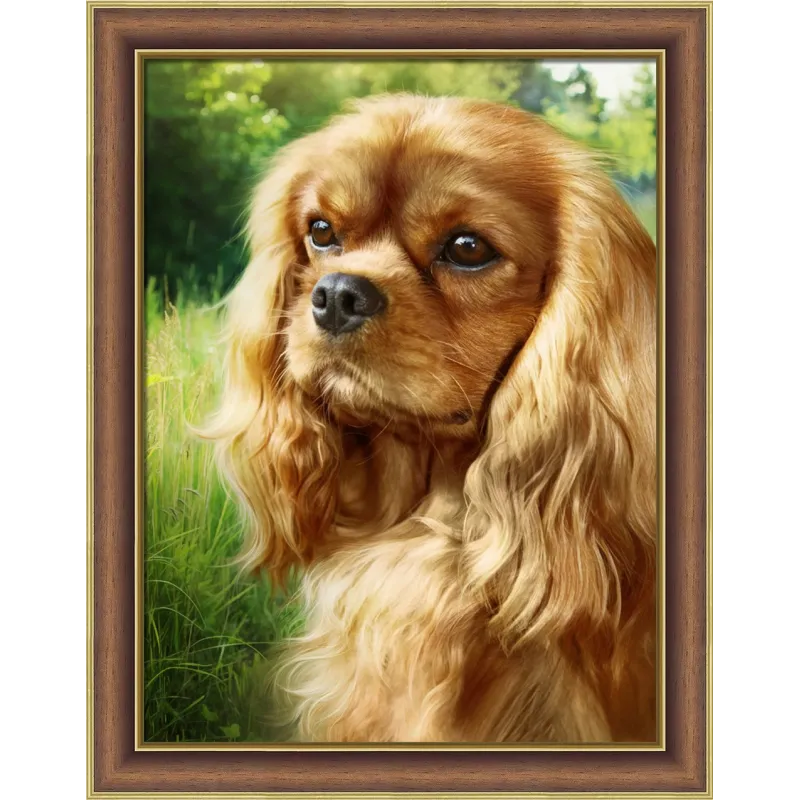 Spaniel 30x40 cm AZ-1792