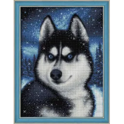 Schnee Husky 30x40 cm AZ-1804
