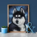 Husky des neiges 30x40 cm AZ-1804