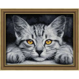 Geltonakio kačiuko 40x30 cm AZ-1807