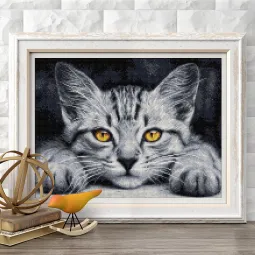 Yellow-Eyed Kitten 40x30 cm AZ-1807