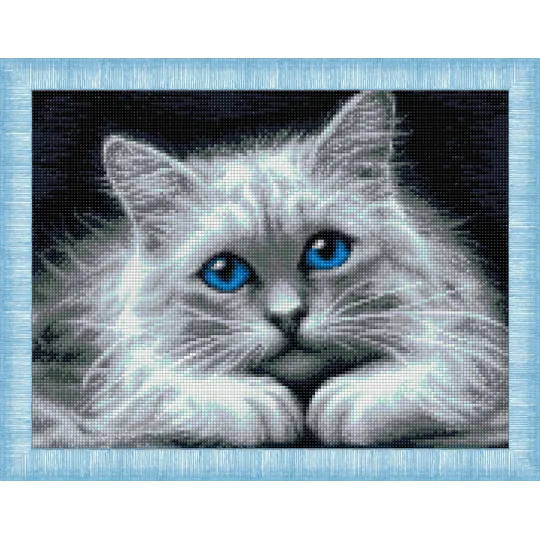 Chat aux yeux bleus 40x30 cm AZ-1761