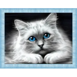 Blue-Eyed Cat 40x30 cm AZ-1761