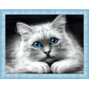 Blue-Eyed Cat 40x30 cm AZ-1761
