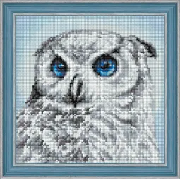 Deimantų paveikslėlio rinkinys Pelėdos žvilgsnis 25x25 cm  AZ-1549