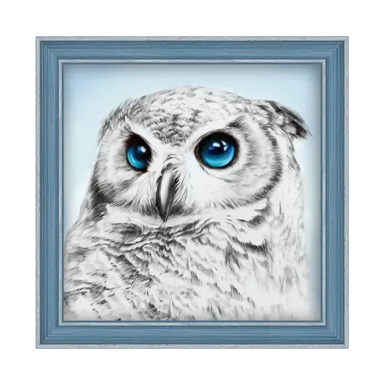 Kit de peinture diamant Owl Sight 25х25 cm AZ-1549