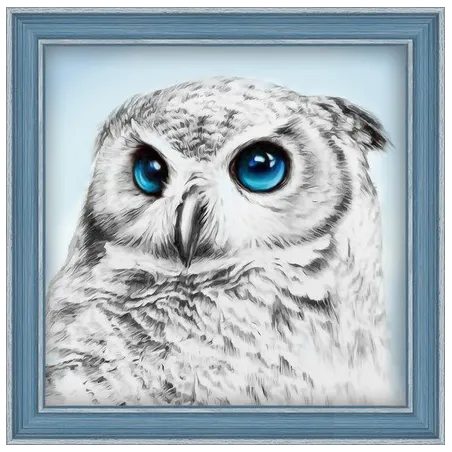 Kit de peinture diamant Owl Sight 25х25 cm AZ-1549