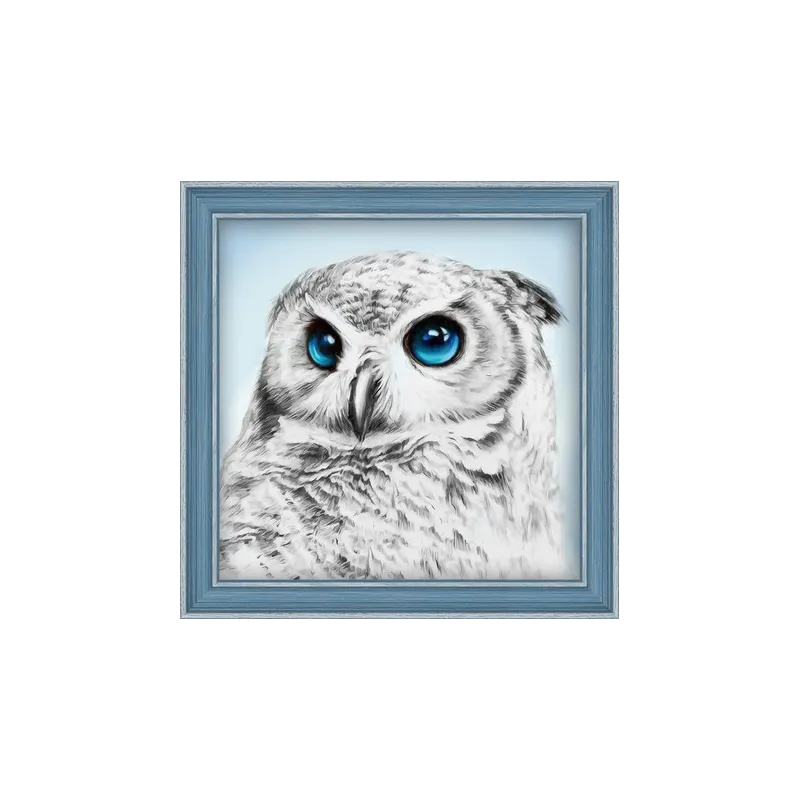 Kit de peinture diamant Owl Sight 25х25 cm AZ-1549