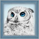 Diamond Painting kit Owl Sight 25х25 cm  AZ-1549