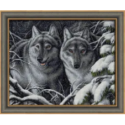 Vilkai 50x40 cm AZ-1818