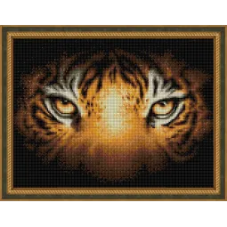 Tiger Look 40x30 cm AZ-1827