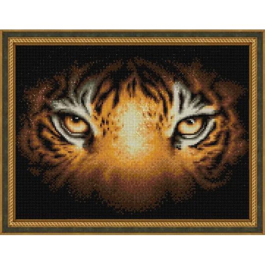 Aspect Tigre 40x30 cm AZ-1827