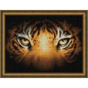 Aspect Tigre 40x30 cm AZ-1827