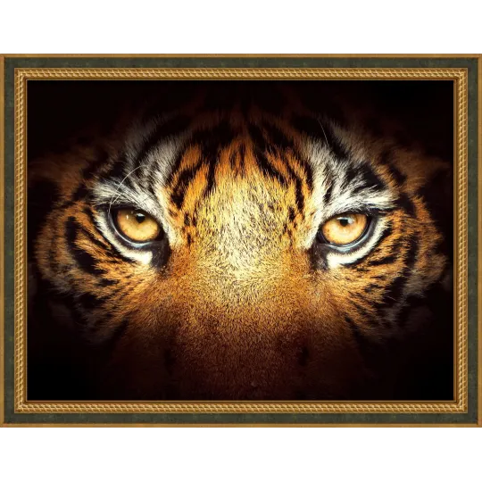 Tiger Look 40x30 cm AZ-1827