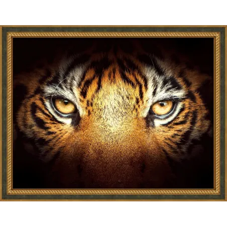 Tiger Look 40x30 cm AZ-1827