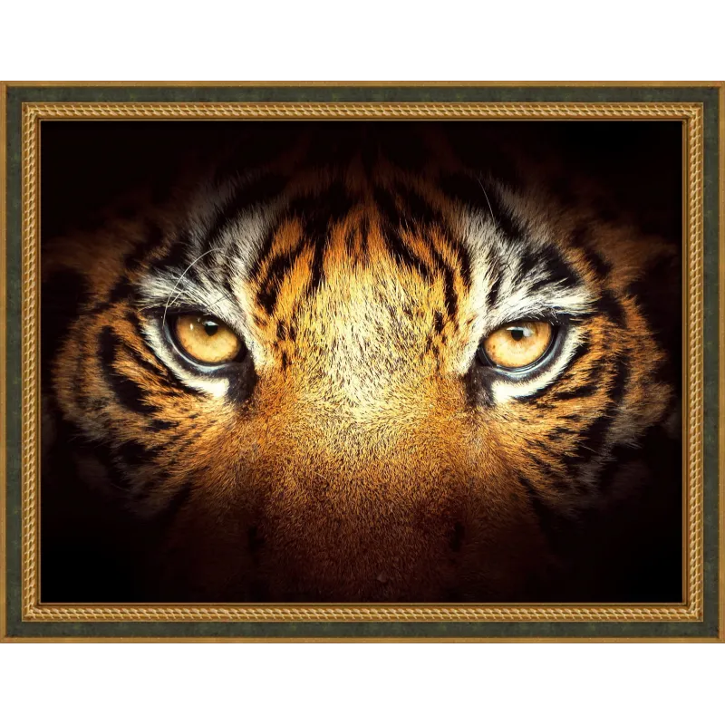 Aspect Tigre 40x30 cm AZ-1827