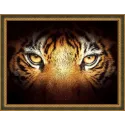 Aspect Tigre 40x30 cm AZ-1827