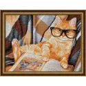 Reading Cat  40x30 cm AZ-1830