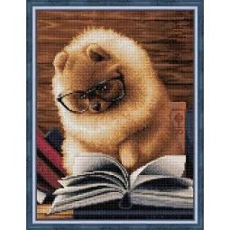 Skaitantis Pomeranijos špicas 30x40 cm AZ-1831