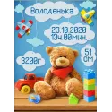 Metrisch für einen Jungen mit Teddy 30*40 cm AZ-1903