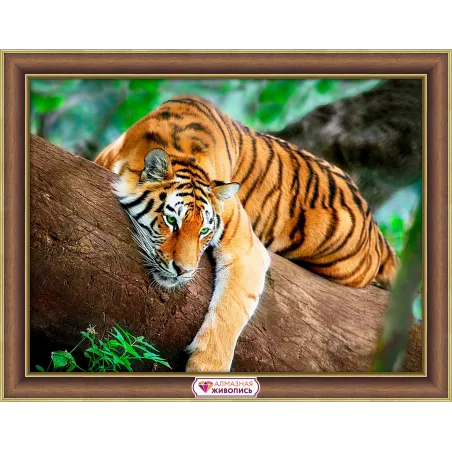 Tigras ant medžio 40*30 cm AZ-4122