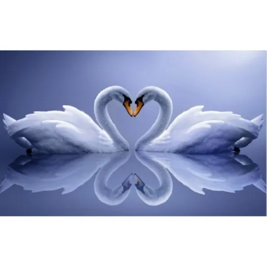 Diamond painting kit Swans 50x80 cm AZ-210