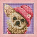 Diamond Painting Kit Chihuahua 15х15cm AZ-1569